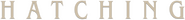 Logo of Hatching image size 999x107