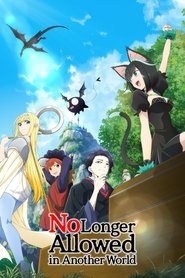 Poster of No Longer Allowed in Another World image size 2000x3000