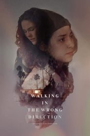 Poster of Walking in the Wrong Direction image size 500x750