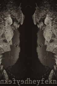 poster An Unbearable Pity