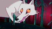 The Wolf of Custer wallpaper 