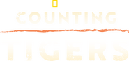 Logo of Counting Tigers image size 3839x1831