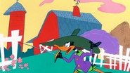Farce au canard wallpaper 
