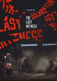 Poster of The Last Witness image size 678x960