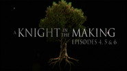 Episodes 4, 5, and 6