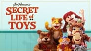 Secret Life of Toys  