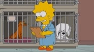 Les Simpson season 27 episode 15