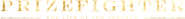 Logo of Prizefighter: The Life of Jem Belcher image size 4249x436