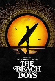 poster A Grammy Salute to The Beach Boys