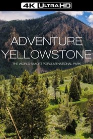 Poster of Adventure Yellowstone image size 1000x1500