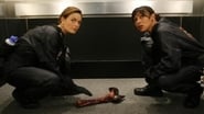 Bones season 4 episode 6