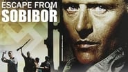 Les rescapés de Sobibor wallpaper 