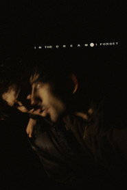 In the Dream I Forget