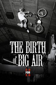 poster The Birth of Big Air