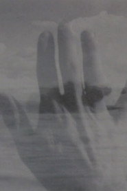 all along poster
