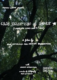 poster What the Stars Don’t Tell