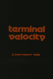 Terminal Velocity poster