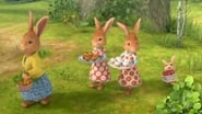 Pierre Lapin season 2 episode 23