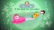 Les Octonauts season 1 episode 20