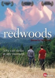 Poster of Redwoods image size 1000x1411