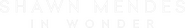Logo of Shawn Mendes: In Wonder image size 1275x194