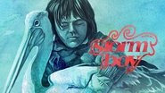 Backdrop of Storm Boy image size 1280x720