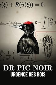 poster Dr Pic Noir, urgence des bois