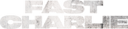 Logo of Fast Charlie image size 4118x928