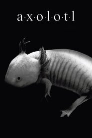 Poster of Axolotl image size 500x750