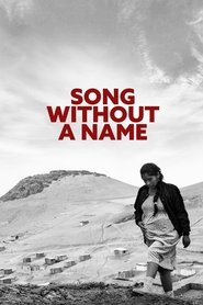 Poster of Song Without a Name image size 917x1376