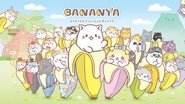 Bananya  