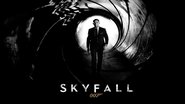 Backdrop of Skyfall image size 1920x1080