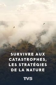 poster Survivre aux catastrophes, les stratégies de la nature