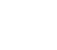 Logo of Million Dollar Pigeons image size 1444x1274
