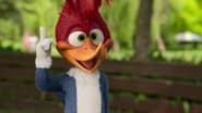 Woody Woodpecker : Alerte en colo wallpaper 