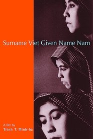 Poster of Surname Viêt Given Name Nam image size 600x900