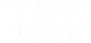 Logo of The Animal Condition image size 564x265