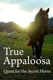 True Appaloosa 2015 123movies