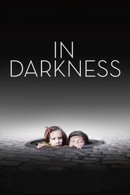 poster In Darkness