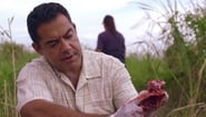 The Glades season 2 episode 10