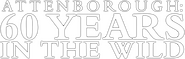 Logo of Attenborough: 60 Years in the Wild image size 782x249