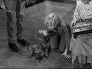 The Beverly Hillbillies season 1 episode 22