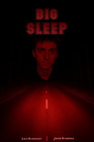 poster BIG SLEEP