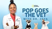 Backdrop of Pop Goes the Vet with Dr. Joya image size 3840x2160