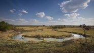 Au cœur de l'Okavango wallpaper 
