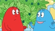 Barbapapa en famille season 1 episode 10