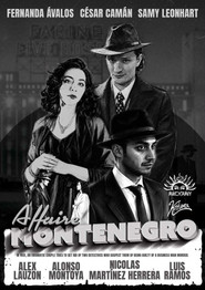 The Montenegro Affair