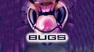 Bugs wallpaper 