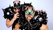 WWE: Road Warriors - The Life & Death of the Most Dominant Tag-Team in Wrestling History wallpaper 