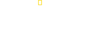 Logo of Patagonia Wings image size 3726x1297